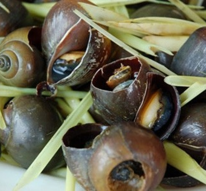 Ốc Hấp Xả 